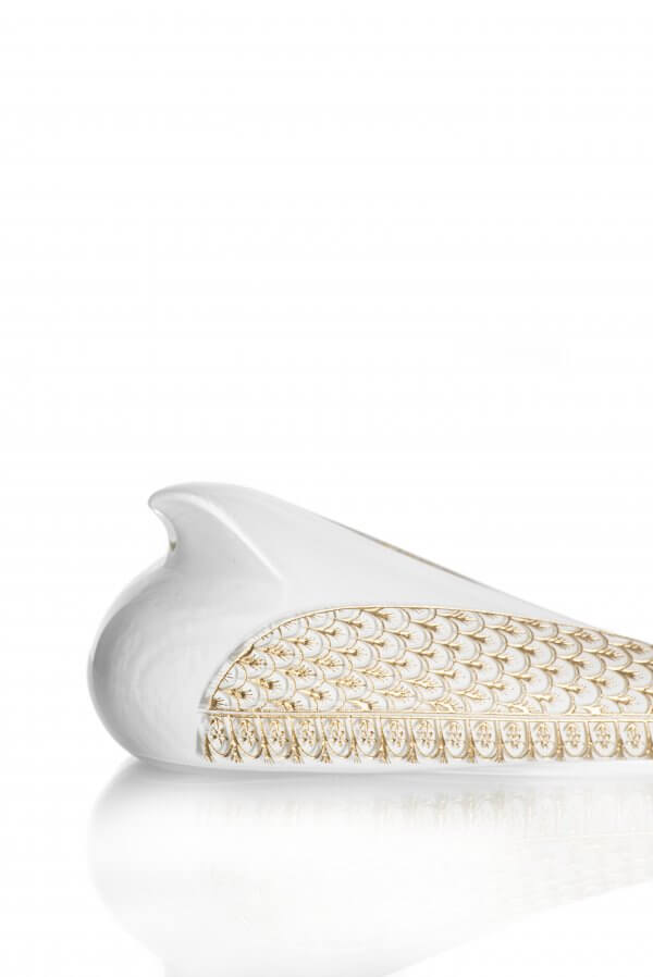 altın-kanatları maydanoz-beyaz-2 altın-kanatları maydanoz-beyaz-2