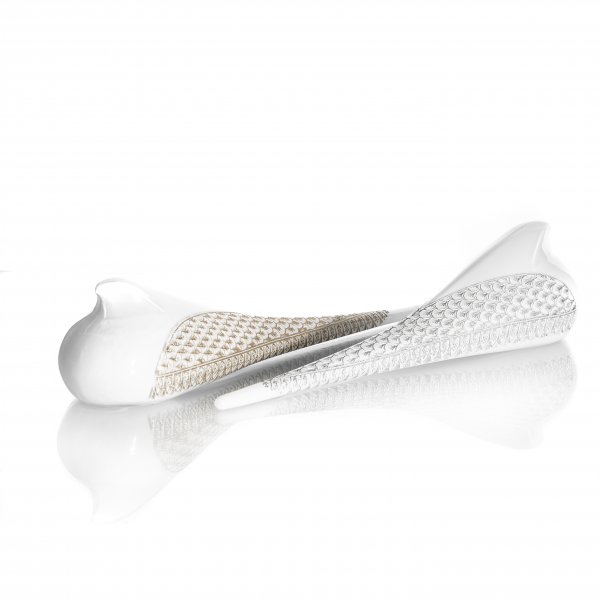 kanatları maydanoz-cift kanatları maydanoz-cift