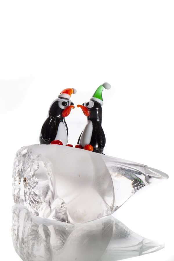 IMG_9267sss IMG_9267sss