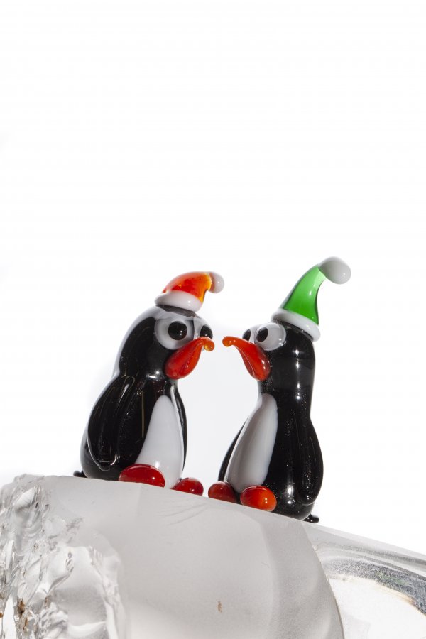 IMG_9268ssss IMG_9268ssss