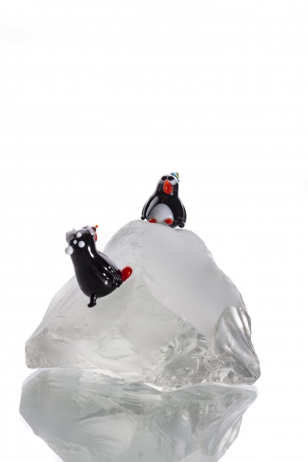 IMG_9277ssss IMG_9277ssss