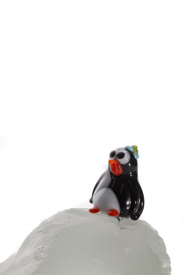 IMG_9281ssss IMG_9281ssss