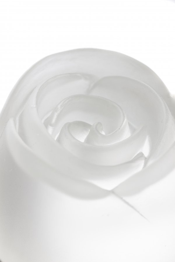 IMG_9562ssss IMG_9562ssss