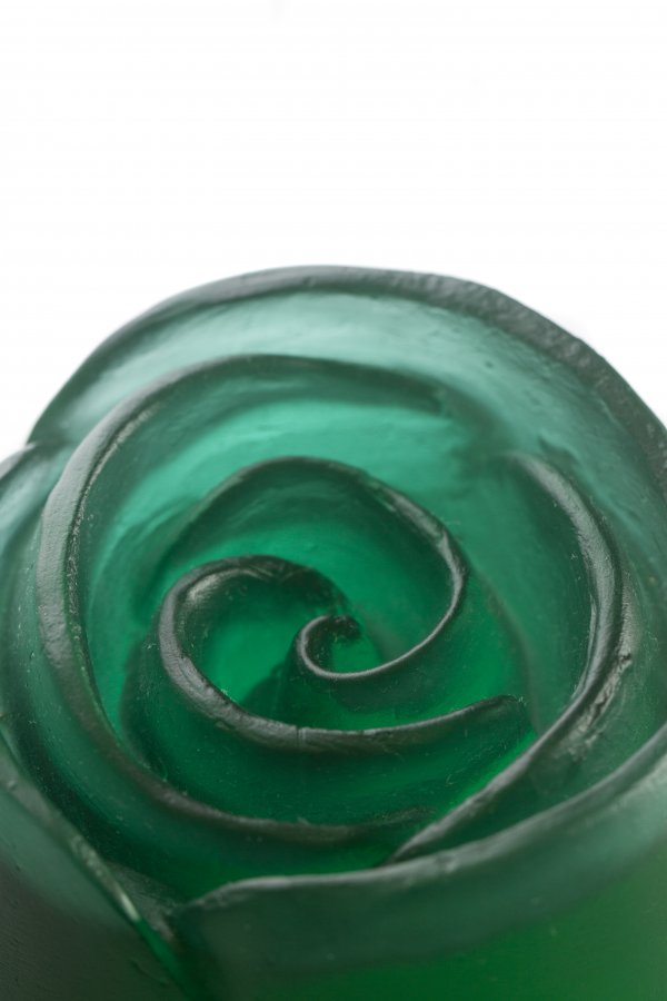 IMG_9567sss IMG_9567sss