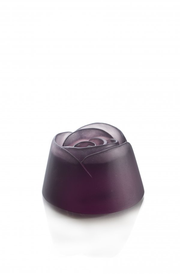 IMG_9574ssss IMG_9574ssss