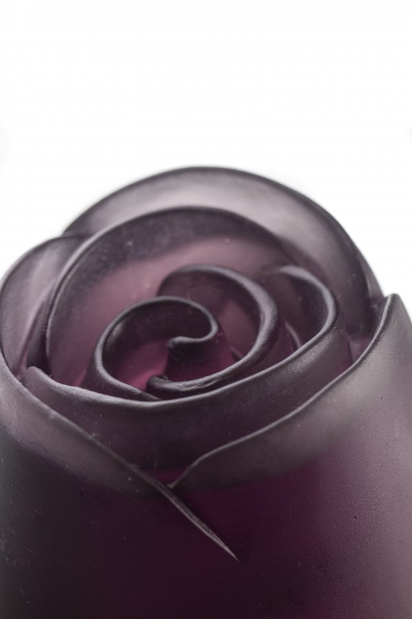 IMG_9576ssss IMG_9576ssss