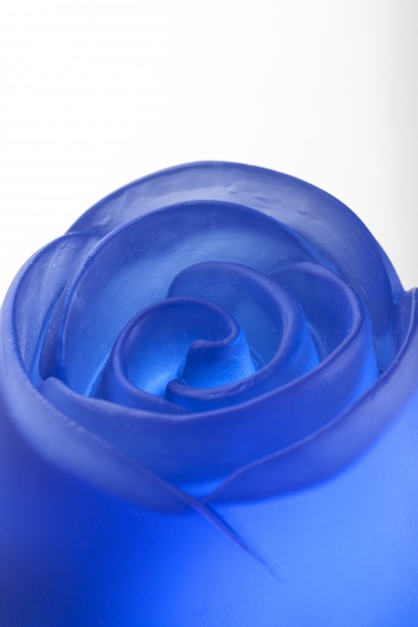 IMG_9609sss IMG_9609sss