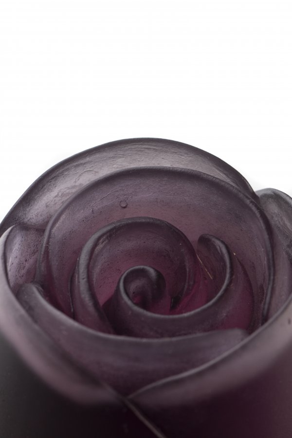 IMG_9612sss IMG_9612sss