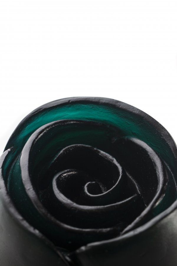 IMG_9620sss IMG_9620sss