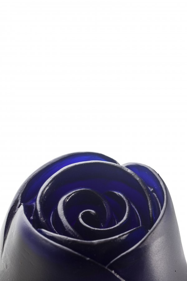 IMG_9623sss IMG_9623sss