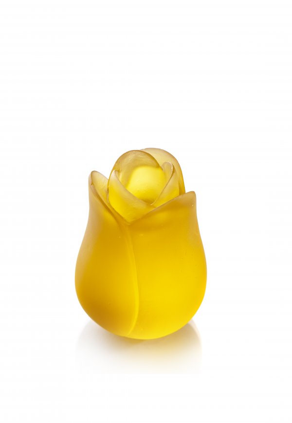 IMG_9624ssss IMG_9624ssss