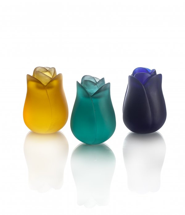 IMG_9651sssssss IMG_9651sssssss