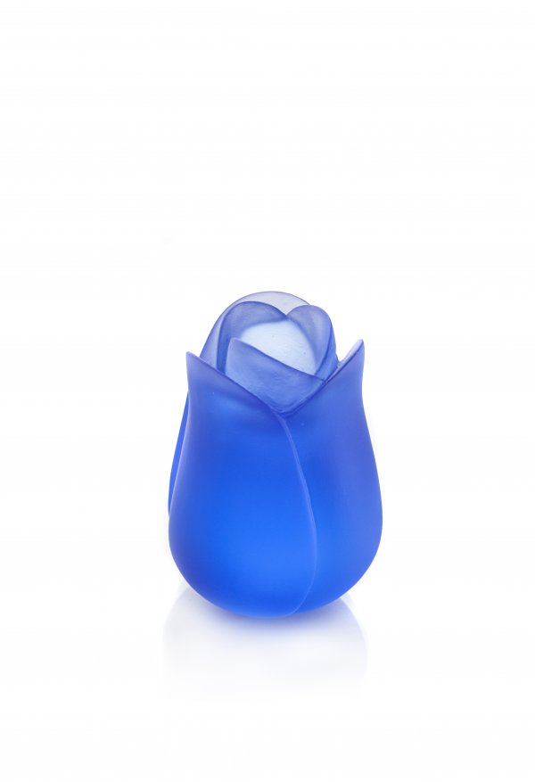 IMG_9660ssssssss IMG_9660ssssssss