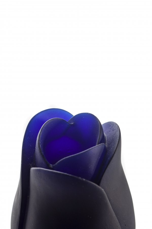 IMG_9669sss IMG_9669sss