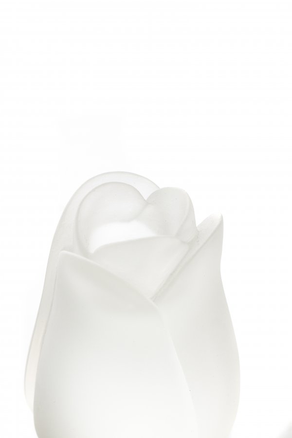 IMG_9682sss IMG_9682sss