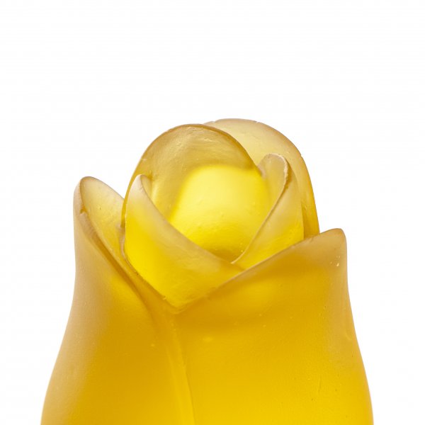 detay sarı detay sarı