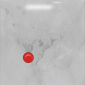 20241108165414P.png
