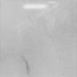 20241116191252P.png