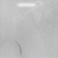 20251116195007P.png